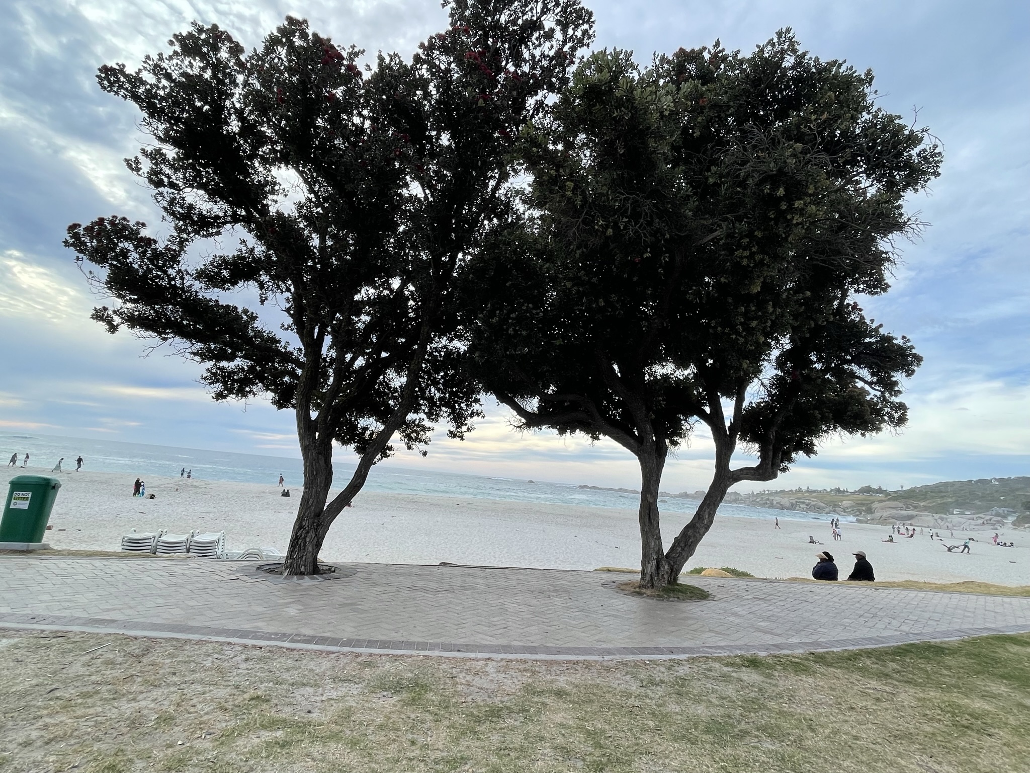 Tour Image
